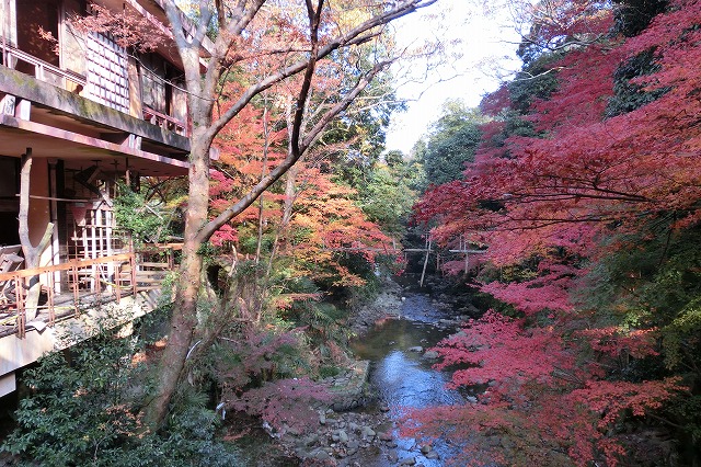 旅館 ほととぎす